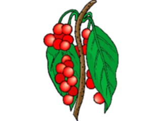 Sticker Custom Preview Image #105347 Plants Flowers Plants Plant139