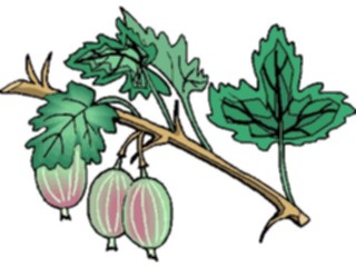 Sticker Custom Preview Image #105348 Plants Flowers Plants Plant140