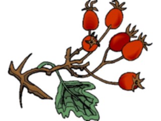 Sticker Custom Preview Image #105349 Plants Flowers Plants Plant141