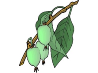 Sticker Custom Preview Image #105350 Plants Flowers Plants Plant142