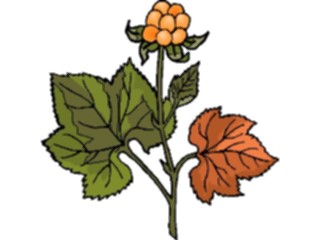 Sticker Custom Preview Image #105351 Plants Flowers Plants Plant143