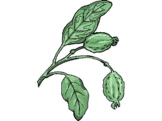Sticker Custom Preview Image #105356 Plants Flowers Plants Plant148