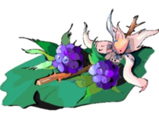 Sticker Custom Preview Image #105361 Plants Flowers Plants Plant153