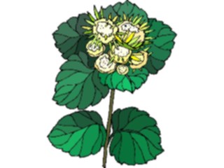 Sticker Custom Preview Image #105416 Plants Flowers Plants Plant208