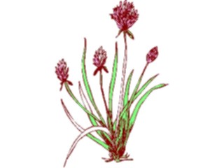 Sticker Custom Preview Image #105426 Plants Flowers Plants Plant218