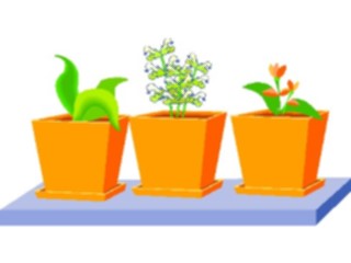 Sticker Custom Preview Image #105492 Plants Flowers Plants Plants2