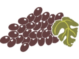 Sticker Custom Preview Image #109499 Religion Judaism Grapes