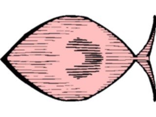 Sticker Custom Preview Image #110050 Religion Objects Symbols Fish15