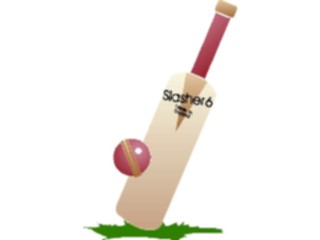Sticker Custom Preview Image #122362 Sports Other Cricket Equipment02