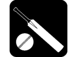 Sticker Custom Preview Image #122364 Sports Other Cricket Equipment04