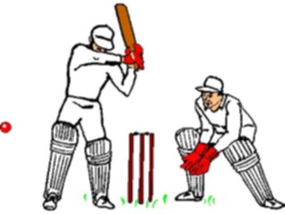 Sticker Custom Preview Image #122384 Sports Other Cricket Players