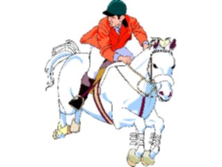 Sticker Custom Preview Image #122408 Sports Other Equestrian05