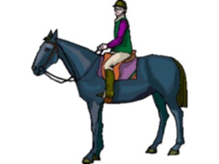 Sticker Custom Preview Image #122412 Sports Other Equestrian09