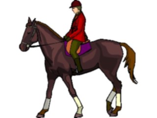 Sticker Custom Preview Image #122416 Sports Other Equestrian13