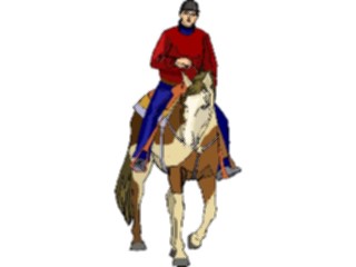 Sticker Custom Preview Image #122418 Sports Other Equestrian15