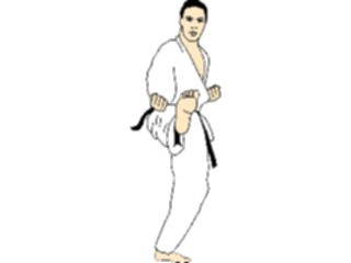 Sticker Custom Preview Image #122539 Sports Other Martial Arts03