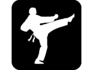Sticker Custom Preview Image #122540 Sports Other Martial Arts04