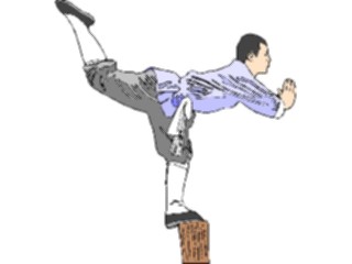 Sticker Custom Preview Image #122541 Sports Other Martial Arts05