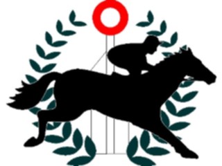 Sticker Custom Preview Image #122833 Sports Racing Horse Racing07