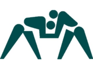 Sticker Custom Preview Image #123412 Sports Silhouettes Wrestling1