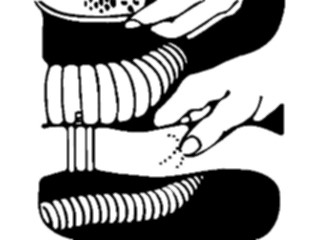 Sticker Custom Preview Image #129556 Transportation Car Parts Checking Hoses