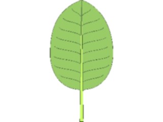 Sticker Custom Preview Image #132485 Trees Leaves Leaves Leaf009