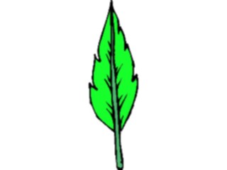 Sticker Custom Preview Image #132543 Trees Leaves Leaves Leaf067