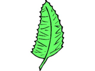 Sticker Custom Preview Image #132545 Trees Leaves Leaves Leaf069