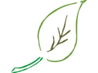 Sticker Custom Preview Image #132550 Trees Leaves Leaves Leaf074