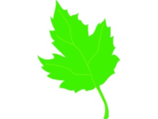 Sticker Custom Preview Image #132553 Trees Leaves Leaves Leaf077