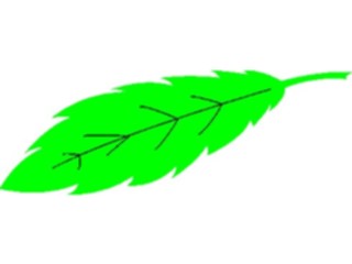 Sticker Custom Preview Image #132555 Trees Leaves Leaves Leaf079