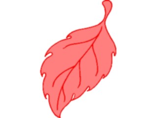 Sticker Custom Preview Image #132562 Trees Leaves Leaves Leaf086