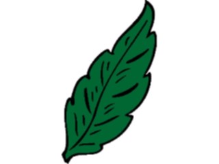 Sticker Custom Preview Image #132566 Trees Leaves Leaves Leaf090