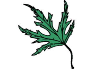 Sticker Custom Preview Image #132567 Trees Leaves Leaves Leaf091