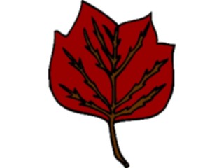 Sticker Custom Preview Image #132570 Trees Leaves Leaves Leaf094