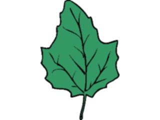 Sticker Custom Preview Image #132571 Trees Leaves Leaves Leaf095