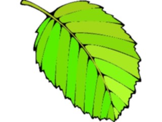 Sticker Custom Preview Image #132577 Trees Leaves Leaves Leaf101