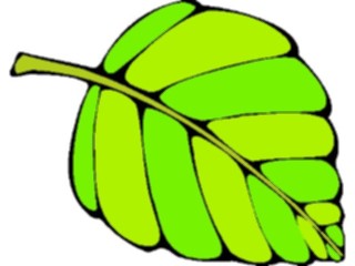 Sticker Custom Preview Image #132578 Trees Leaves Leaves Leaf102