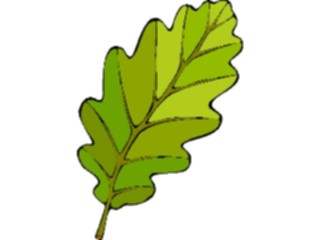 Sticker Custom Preview Image #132583 Trees Leaves Leaves Leaf107
