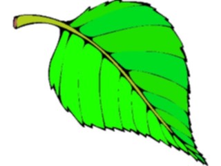 Sticker Custom Preview Image #132584 Trees Leaves Leaves Leaf108