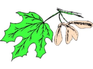 Sticker Custom Preview Image #132587 Trees Leaves Leaves Leaf111