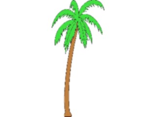 Sticker Custom Preview Image #132842 Trees Leaves Trees Palm Tree41