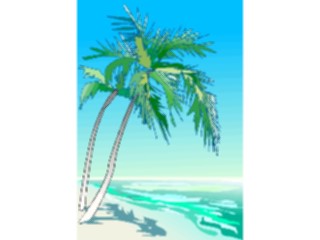 Sticker Custom Preview Image #132856 Trees Leaves Trees Palm Tree55
