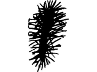 Sticker Custom Preview Image #132898 Trees Leaves Trees Pine Tree Branch