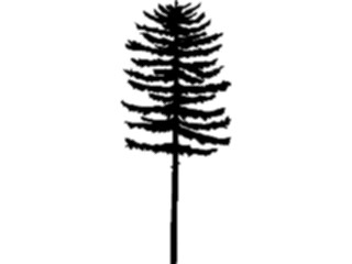 Sticker Custom Preview Image #132912 Trees Leaves Trees Tree004