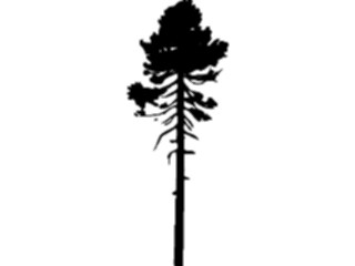 Sticker Custom Preview Image #132918 Trees Leaves Trees Tree010