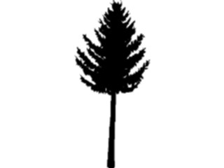Sticker Custom Preview Image #132919 Trees Leaves Trees Tree011