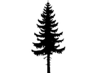 Sticker Custom Preview Image #132920 Trees Leaves Trees Tree012