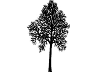Sticker Custom Preview Image #132924 Trees Leaves Trees Tree016