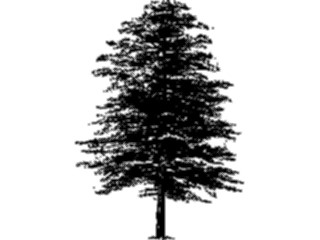 Sticker Custom Preview Image #132929 Trees Leaves Trees Tree021